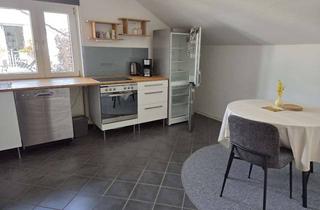 Wohnung mieten in 76646 Bruchsal, Vollmöblierte 2- Zimmer Dachwohnung Heidelsheim