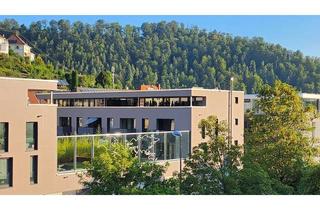 Wohnung mieten in Am Wöhrd 1, 2, 78727 Oberndorf, Stilvolle, geräumige 2-Zimmer-Terrassenwohnung, EBK in Oberndorf a.N., (W 1.1, W 1.5)