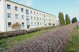 Wohnung mieten in Wüstenfelder Strasse 2b, 18519 Brandshagen, Vollständig renovierte 1-Raum-Wohnung im bester Lage in Brandshagen