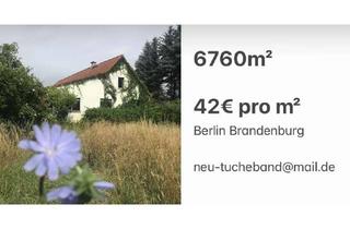 Haus kaufen in Schulweg, 15328 Alt Tucheband, Provisionsfrei 6.760m2 auf VB: Grundstück zu verkaufen - Haus inklusive im Oderbruch