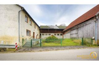 Bauernhaus kaufen in 93161 Sinzing, Sofort frei: 3-Seiten-Hof (Bauernhof), mit diversen Nebengebäuden (Stall und Scheune) - zu verkaufen