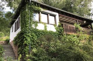 Haus mieten in 63628 Bad Soden-Salmünster, Einfamilienhaus mit 140 m² Wohnfläche, Wintergarten, Loggia und großem Garten, Bad Soden-Salmünster