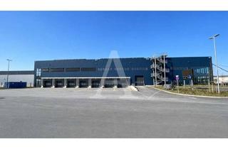 Gewerbeimmobilie mieten in 50169 Kerpen, PROVISIONSFREI | HOCHMODERNE HALLE IN KERPEN | MIETE | EBENERDIG & RAMPE | ANGERMANN NRW