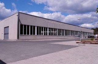 Gewerbeimmobilie mieten in 29227 Celle, Celle: Sehr gepflegte Hallenflächen für Großhandel, Ausstellung und Logistik zu vermieten
