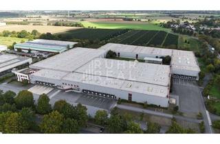 Büro zu mieten in 59494 Soest, Co-Alleinauftrag: 8.000 m² Hallenfläche ab sofort | Rampen | Büros | direkt an der A44
