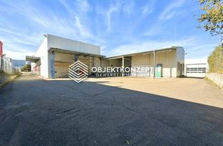 Büro zu mieten in 78713 Schramberg, Provisionsfreie Produktions- und Lagerhalle mit Büroflächen und moderner Ausstattung