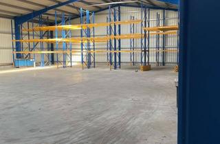 Gewerbeimmobilie mieten in Neulandring 25, 29320 Hermannsburg, Lagerhalle 600m2 mit 280 Europalettenstellplätze im Hochregal