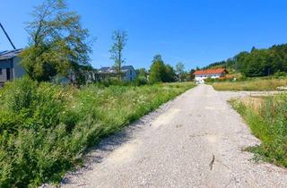 Grundstück zu kaufen in 82380 Peißenberg, BAUGRUND FÜR 2 MFH MIT 10 WOHNEINHEITEN, ALTERNATIV RH / DH / EFH