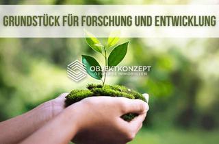 Gewerbeimmobilie mieten in 72186 Empfingen, Sondergebiet für Forschung & Entwicklung – Grundstück provisionsfrei mieten und selbst bauen