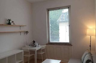 Wohnung mieten in 78462 Konstanz, Alltagstaugliches 1-Zimmer-Apartment in Konstanz
