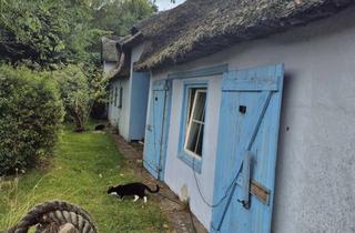 Bauernhaus kaufen in Hauptstraße 10, 25917 Sprakebüll, Bauernhaus mit 260 m² Wohnfläche in Sprakebüll