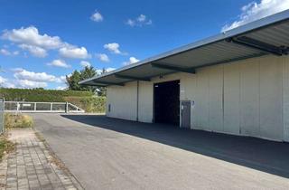 Gewerbeimmobilie mieten in 67435 Lachen-Speyerdorf, 1.000 m² Lagerhalle in Neustadt, ebenerdig, mit LKW anfahrbar