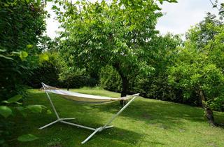 Immobilie kaufen in 38108 Braunschweig, Eingewachsenes Baugrundstück im romantischen Klosterviertel