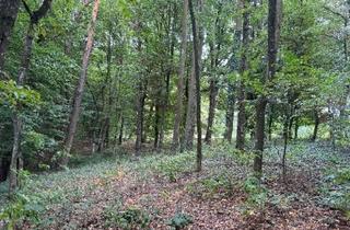 Immobilie kaufen in 84051 Essenbach, Wald der Gemarkung Mettenbach