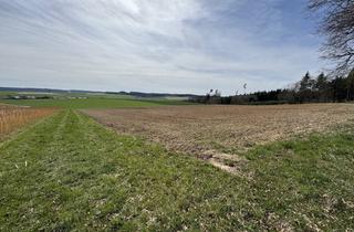 Immobilie kaufen in 94339 Leiblfing, Verkauf einer landwirtschaftlichen Fläche in Hailing