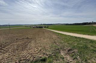 Immobilie kaufen in 94339 Leiblfing, Verkauf einer landwirtschaftlichen Fläche in Hailing