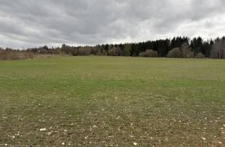 Immobilie kaufen in 84164 Moosthenning, Landwirtschaftliche Fläche der Gemarkung Lengthal, Gemeinde Moosthenning