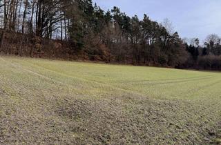 Immobilie kaufen in 84076 Pfeffenhausen, Landwirtschaftliche Fläche Nähe Oberlauterbach