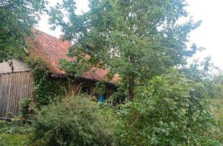 Haus kaufen in 17237 Blankensee, Blankensee - Grundstück mit Haus