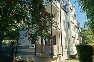 Wohnung mieten in Platanenweg, 04158 Wiederitzsch, // Martinshöhe // 1 Zimmer im Erdgeschoss // Balkon // ab Oktober 26 //