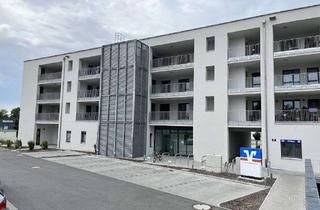 Wohnung mieten in Donaustr., 93086 Wörth, Neuwertige Dreizimmerwohnung in Wörth a.d. Donau