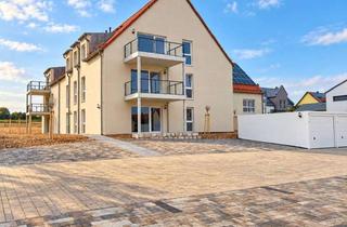 Wohnung mieten in Triftäcker 31, 93155 Hemau, Großzügige 2,5-Zimmer-Erdgeschosswohnung mit Terrasse in Hemau