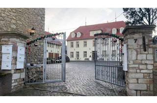 Lofts mieten in 55278 Uelversheim, Schöne kleine Loft-Wohnung mit Galerie in Uelversheim