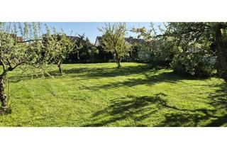 Grundstück zu kaufen in Hellenwiesenweg, 38325 Roklum, Baugrundstück / Baulücke