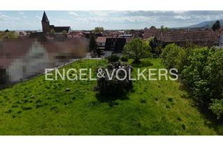 Grundstück zu kaufen in 67435 Mußbach, Großes Baugrundstück in begehrter Lage- für Bauträger & Privatkäufer!