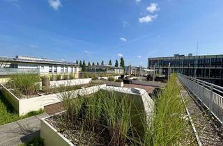 Büro zu mieten in Radlkoferstraße, 81373 Sendling, Provisionsfrei: 846 m² Büro mit 100 m² Dachterrasse – Theresienhöhe / Sendling, teilbar