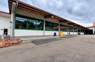 Lager kaufen in Amorbacherstr. 43/1, 69412 Eberbach, Top-Gewerbehalle, ca. 2.500 qm, mit PV & Energiepotenzial, Metropolregion Rhein-Neckar