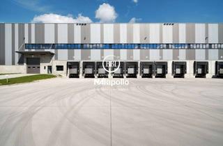 Gewerbeimmobilie mieten in 15537 Grünheide, Logistikfläche 12.900 m² zur Miete in Grünheide (Mark), 2 km zur A10