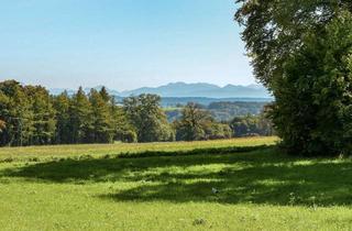 Grundstück zu kaufen in 82067 Ebenhausen, Alpenblick am Feldrand – großzügiges Grundstück mit erteilter Baugenehmigung