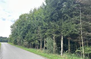 Grundstück zu kaufen in 83569 Vogtareuth, Holz aus dem eigenen Wald