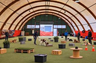 Gewerbeimmobilie kaufen in Zum Kirchborn 14, 61267 Neu-Anspach, Hundeschule mit Kundenstamm, eingezäuntem Gelände, großer Halle, Parkplätzen zu verkaufen