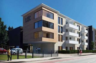 Wohnung mieten in Rheiner Straße 150, 49809 Lingen, Wohnen mit Charakter: Modernes 1- oder 2-Zimmer-Apartment in Lingen