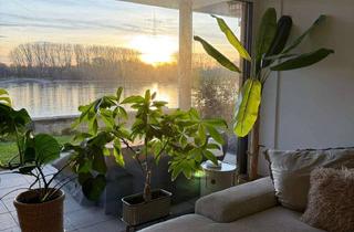Wohnung mieten in 50389 Wesseling, Luxus pur direkt am Rhein! Spektakuläre Traumwohnung mit Wasserblick, Privatsphäre & Riesenterrasse