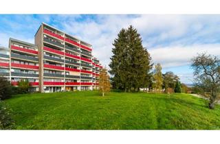 Wohnung mieten in Holzwiesenstraße 15, 72181 Starzach, Wohnen mit Charakter: 2-Zimmer-Wohnung in Starzach