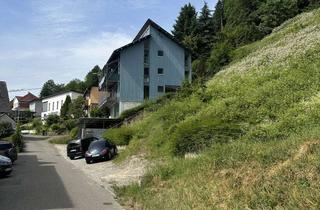 Mehrfamilienhaus kaufen in Dorfbergstraße 17, 77791 Berghaupten, Mehrfamilienhaus mit 266 m² Wohnfläche in Berghaupten (4 Wohnungen)