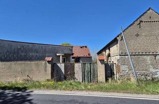 Haus kaufen in 04916 Schönewalde, „Hier schläft die Vergangenheit und wartet auf Zukunft.“