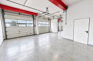 Büro zu mieten in Nordring 14, 63500 Seligenstadt, Werkstatt, Lager, Büro und Freifläche vereint – vielseitige Gewerbeimmobilie für Kfz und Handwerk
