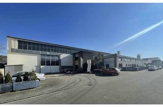 Gewerbeimmobilie kaufen in Bunsenstraße, 68519 Viernheim, Industriehalle mit Krananlagen, Büro und Freifläche in Viernheim