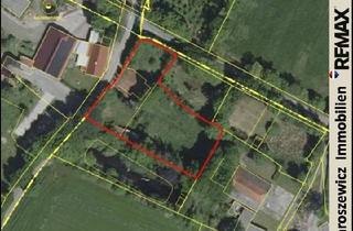 Grundstück zu kaufen in 26409 Wittmund, 2.766 m² bei Wittmund: Weitläufiges Grundstück mit Bauland, Grünland und Altbestand für eigene Ideen