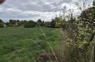 Grundstück zu kaufen in 99610 Sömmerda, Großzügiges Grundstück in Sömmerda – ca. 5.000 m² | Gewerbliche Nutzung & Wohnen möglich