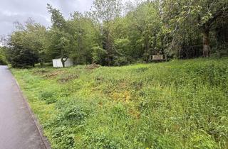 Grundstück zu kaufen in 56357 Reichenberg, Großzügiges Grundstück in begehrter Lage von Reichenberg