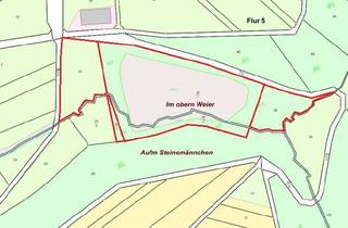 Gewerbeimmobilie kaufen in 56291 Leiningen, Land- und forstwirtschaftliche Erholungsfläche mit Teichanlage in Lamscheid *PROVISIONSFREI*