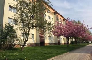 Wohnung mieten in An Der Wyhra, 04552 Borna, gemütliche 2- Raumwohnung mit Tageslichtbad