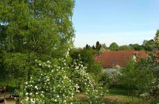 Wohnung mieten in Hauptstrasse 30, 69251 Gaiberg, Furnished 3 Room flat / 3-Zimmer-Wohnung Gaiberg nahe Heidelberg mit Balkon/Aussicht im Grünen.