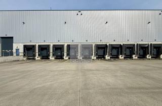 Gewerbeimmobilie mieten in 50226 Frechen, Savills | Frechen: Cross-Dock-Rampenhalle mit 12 m UKB, vielen Rampen für E-Com & 3PL bei Köln-West!