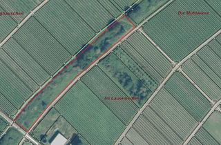 Gewerbeimmobilie kaufen in 54487 Wintrich, Kapitalanlage Wald-/Wiesenfläche mit 4214m² in 54487 Wintrich an der Mosel